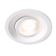 Downlight Tilt White
